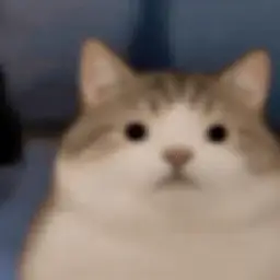 cet