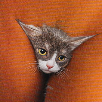 PUSSYCAT