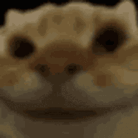 YES
