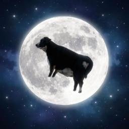 moonor